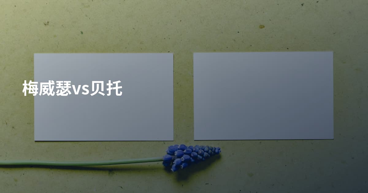 梅威瑟vs贝托