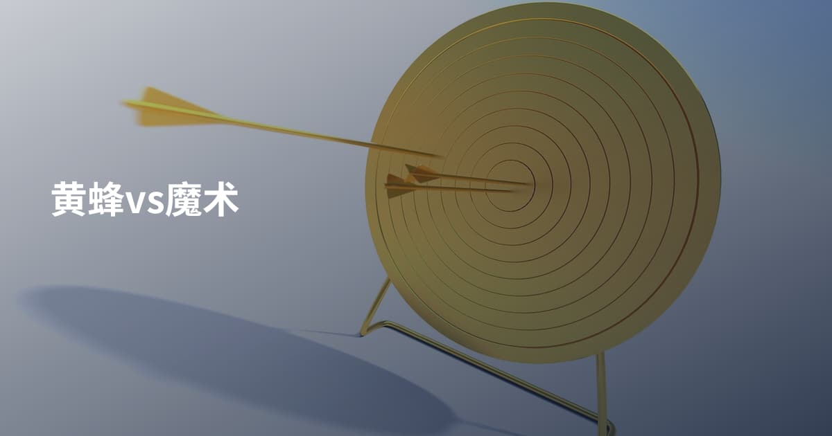 黄蜂vs魔术