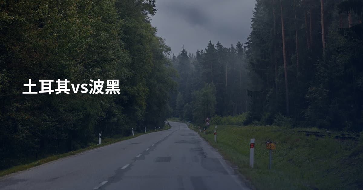 土耳其vs波黑