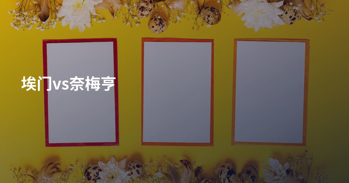 埃门vs奈梅亨