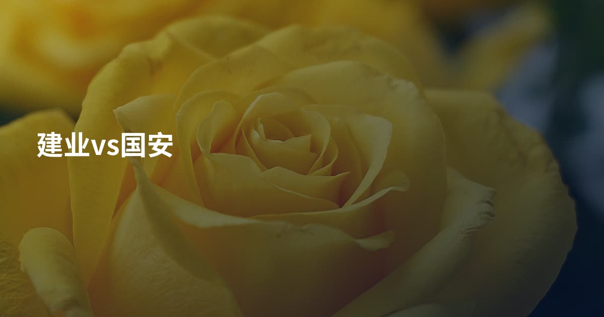 建业vs国安