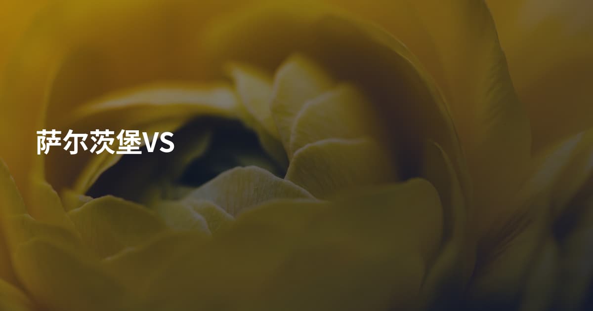 萨尔茨堡VS