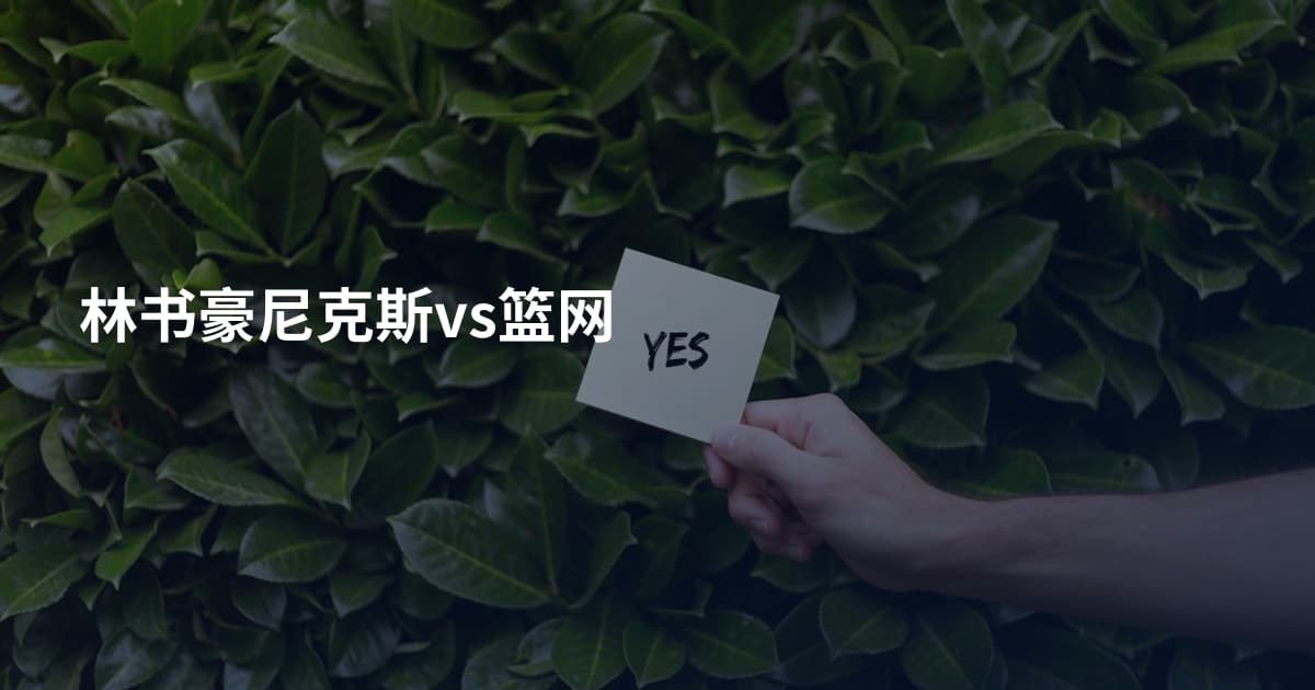 林书豪尼克斯vs篮网