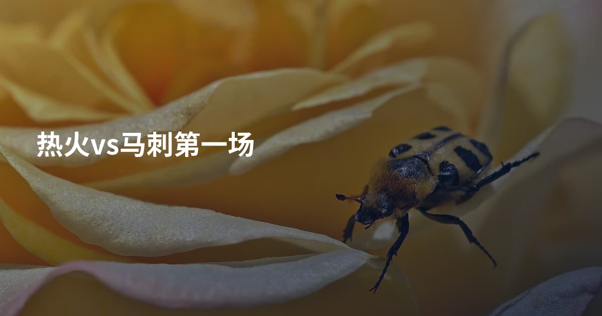 热火vs马刺第一场