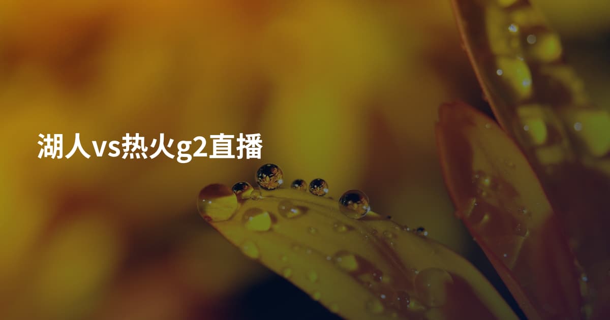 湖人vs热火g2直播