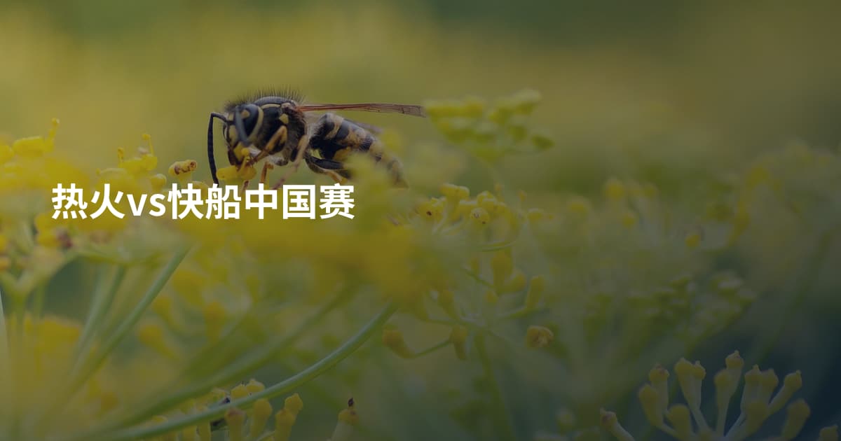 热火vs快船中国赛