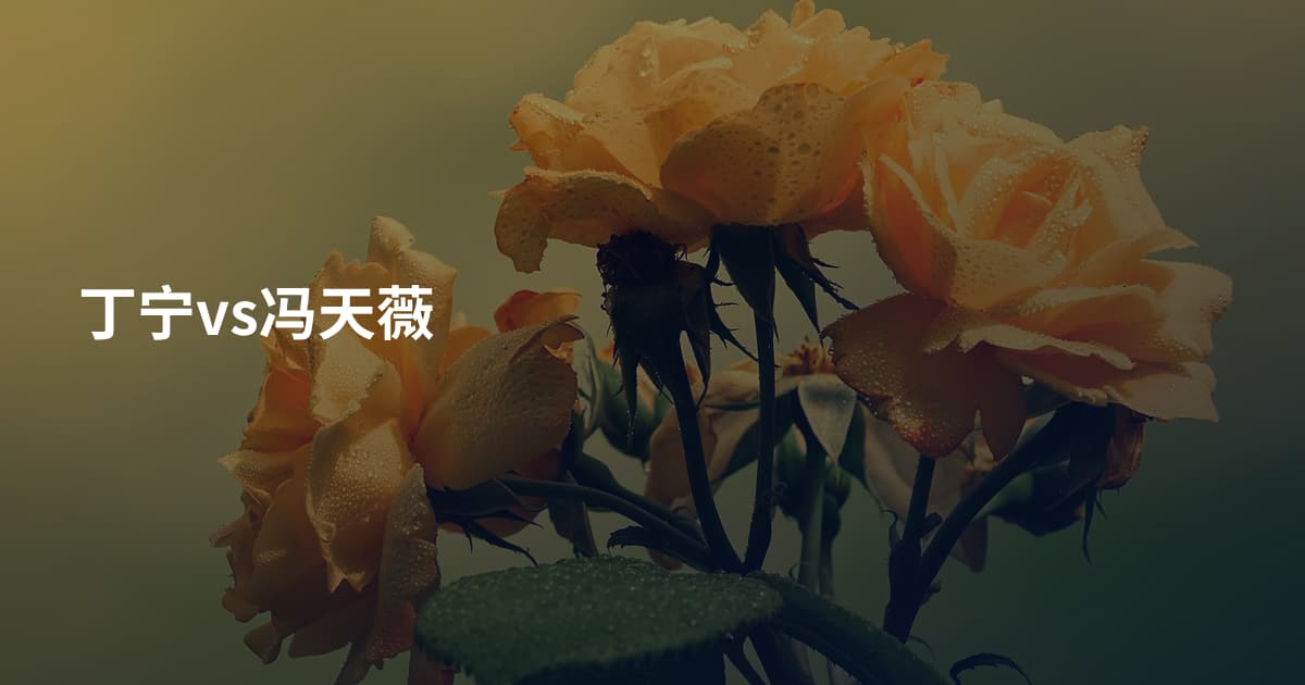 丁宁vs冯天薇