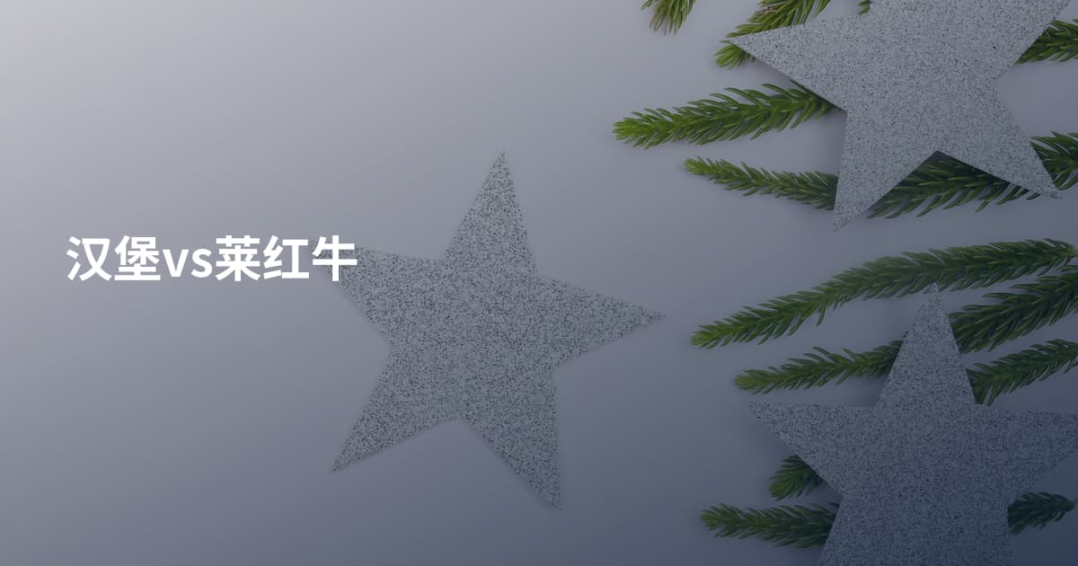 汉堡vs莱红牛