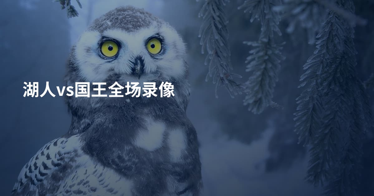 湖人vs国王全场录像