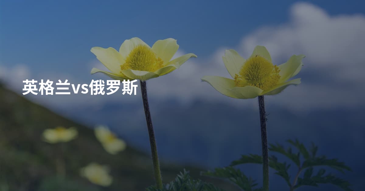 英格兰vs俄罗斯