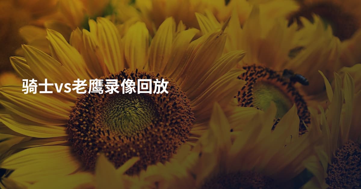 骑士vs老鹰录像回放