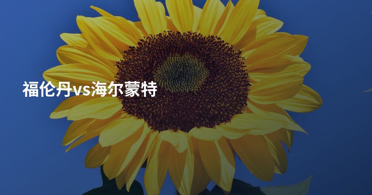 福伦丹vs海尔蒙特