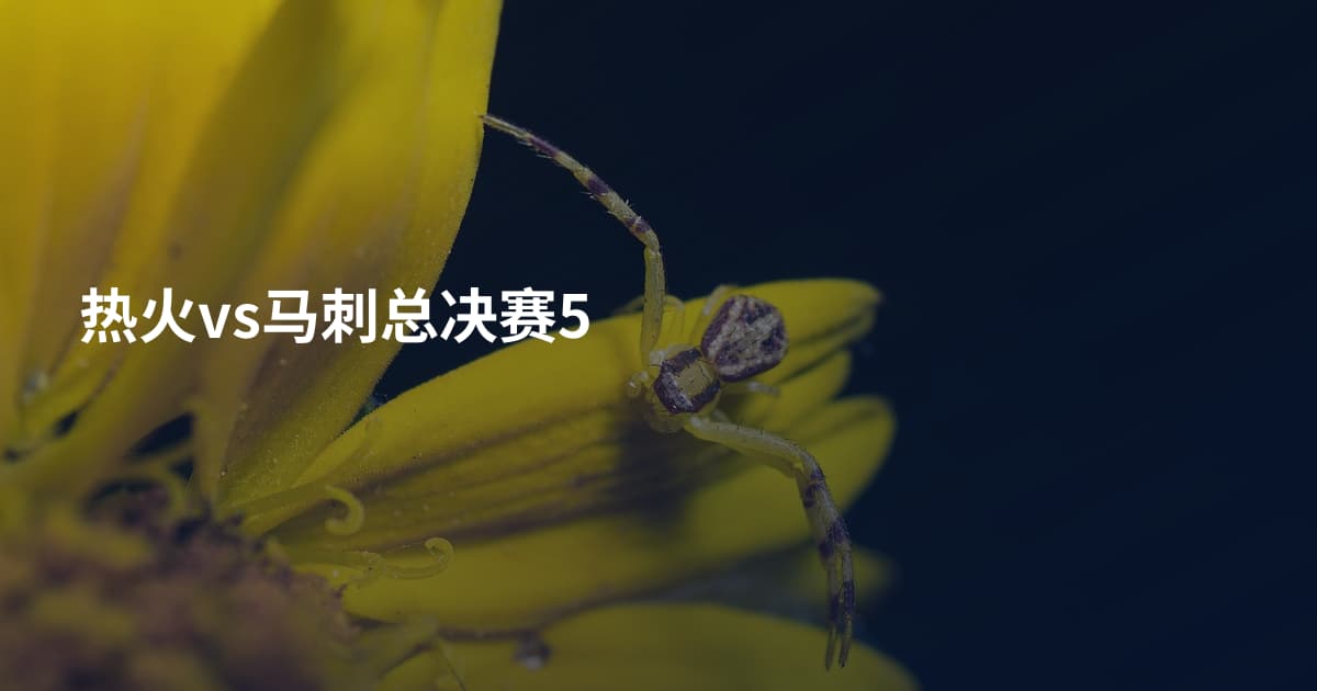 热火vs马刺总决赛5