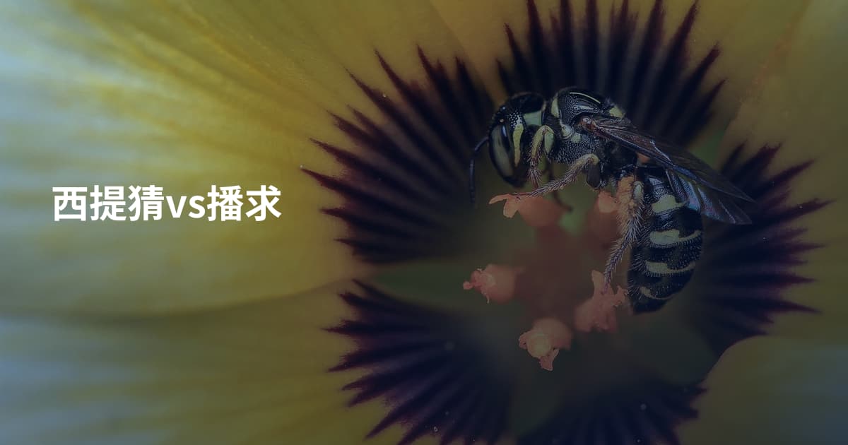 西提猜vs播求