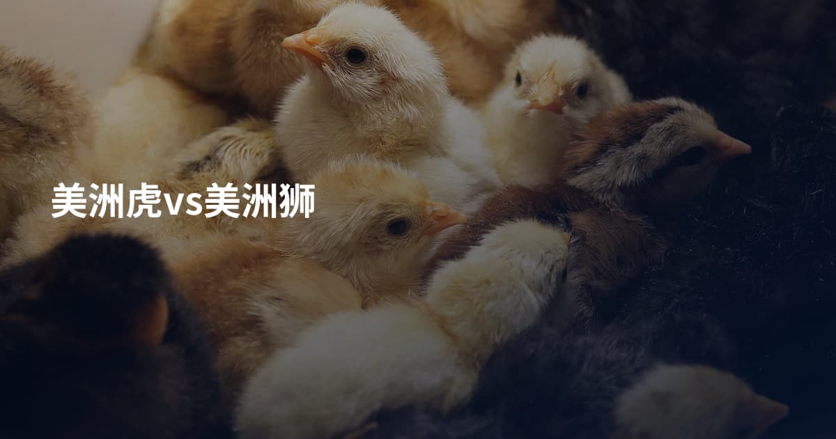 美洲虎vs美洲狮