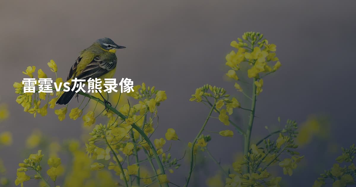 雷霆vs灰熊录像