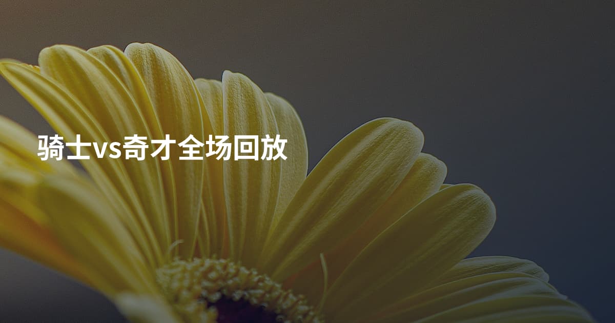 骑士vs奇才全场回放