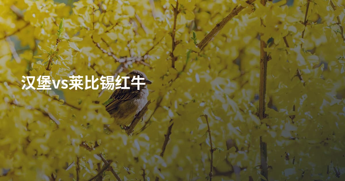 汉堡vs莱比锡红牛