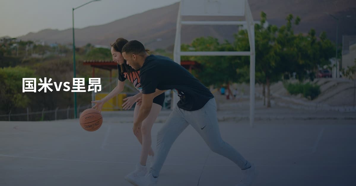 国米vs里昂