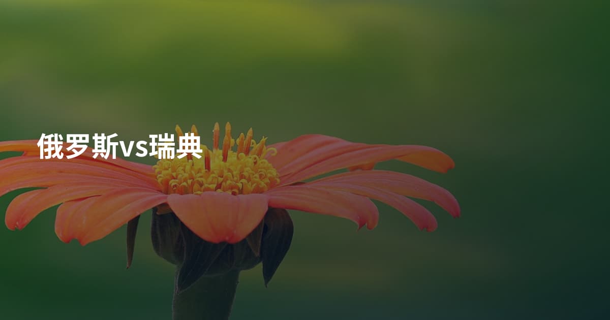 俄罗斯vs瑞典