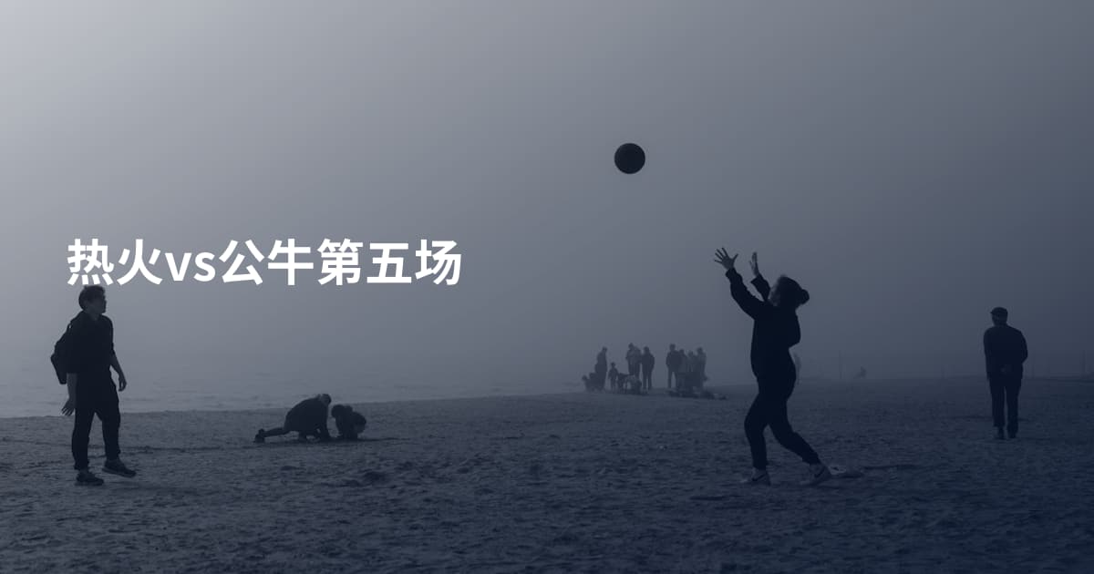 热火vs公牛第五场