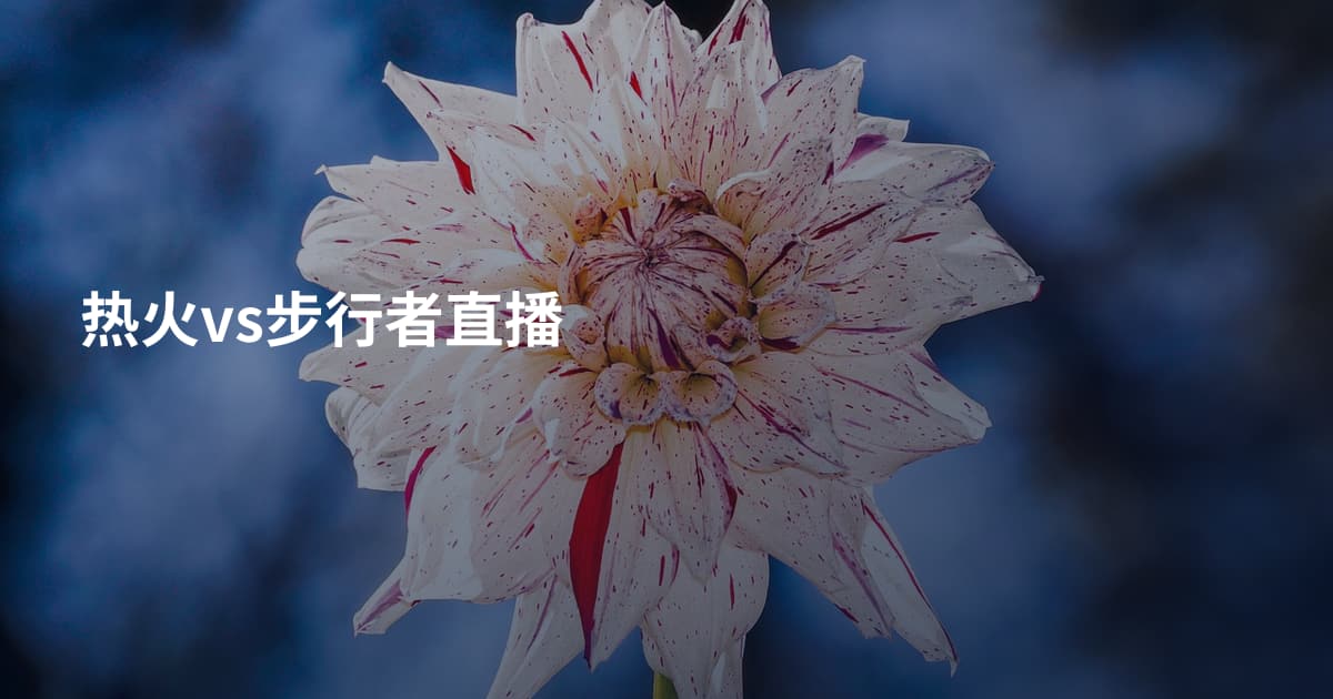 热火vs步行者直播