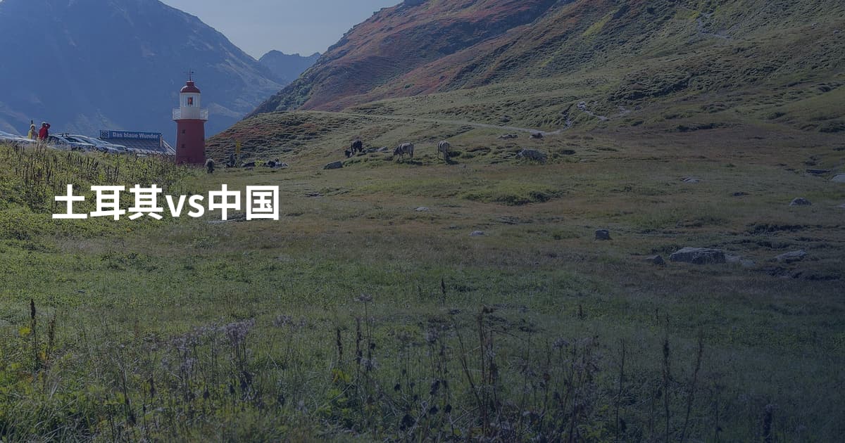 土耳其vs中国