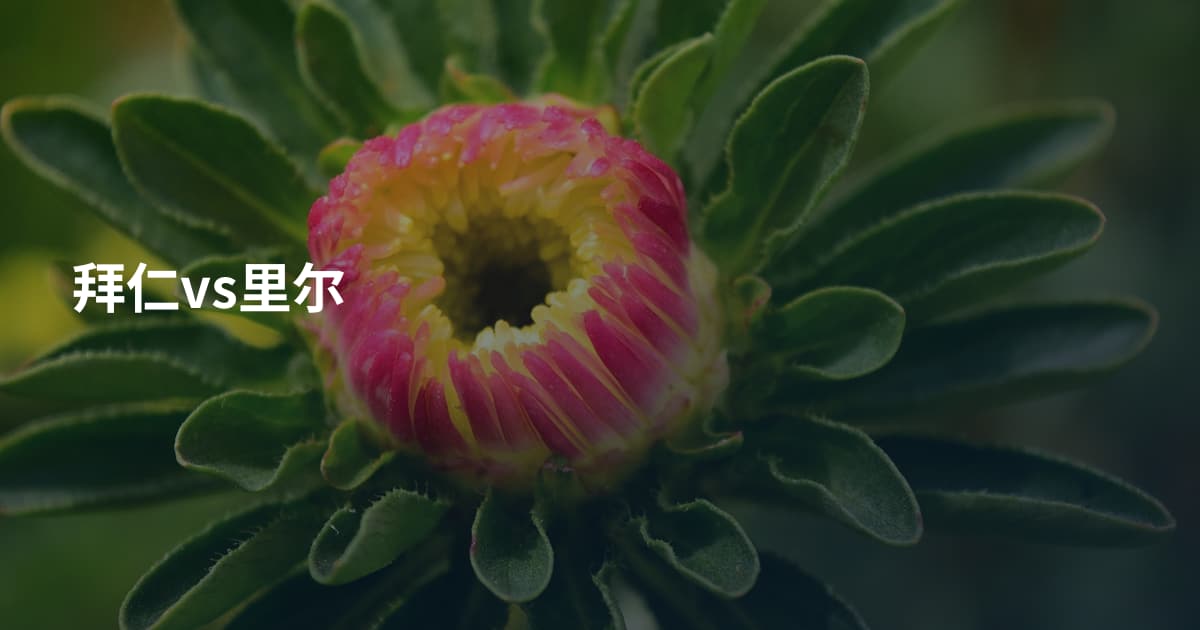 拜仁vs里尔