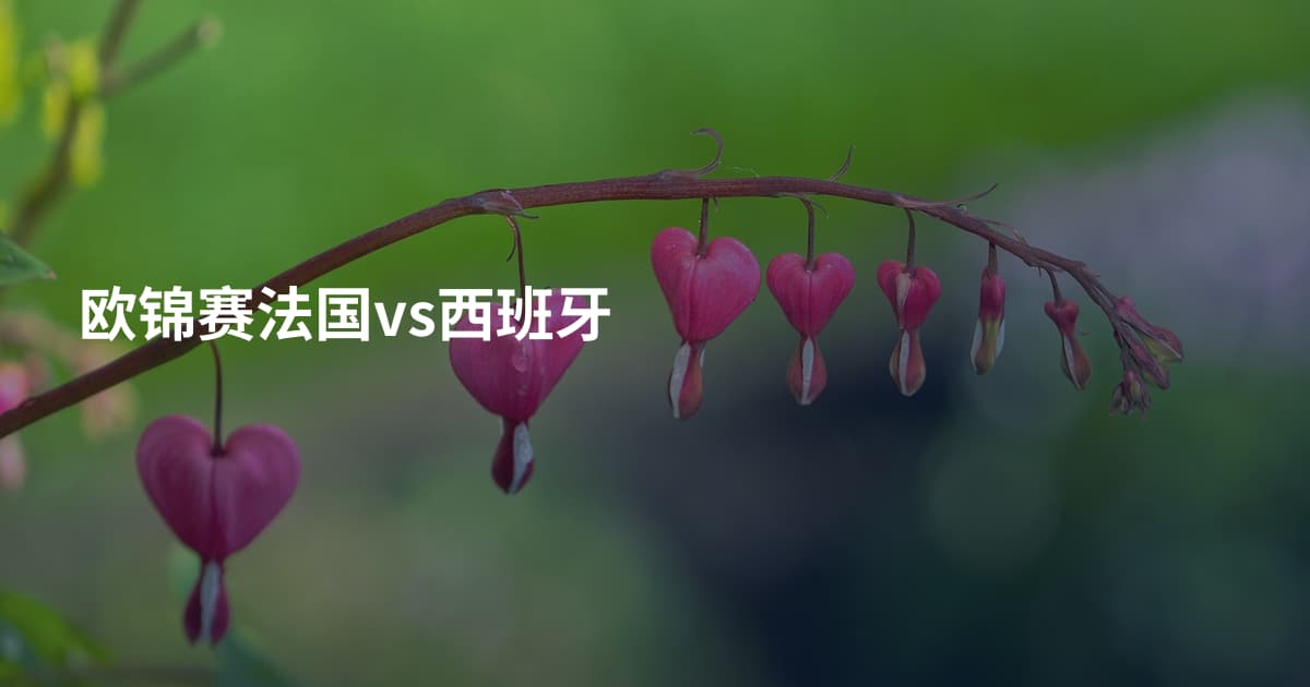 欧锦赛法国vs西班牙