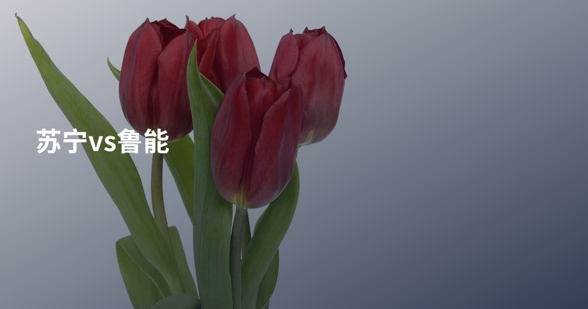 苏宁vs鲁能