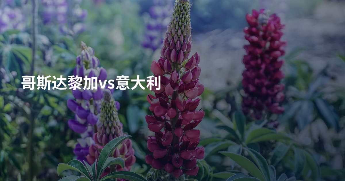 哥斯达黎加vs意大利
