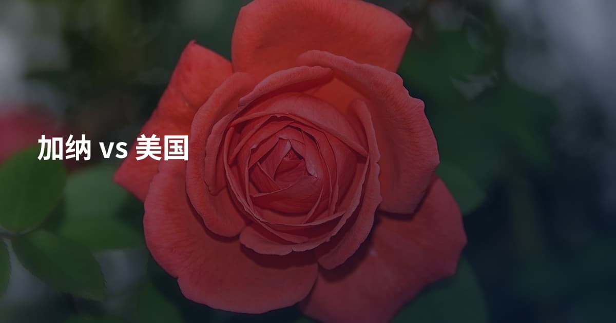 加纳 vs 美国