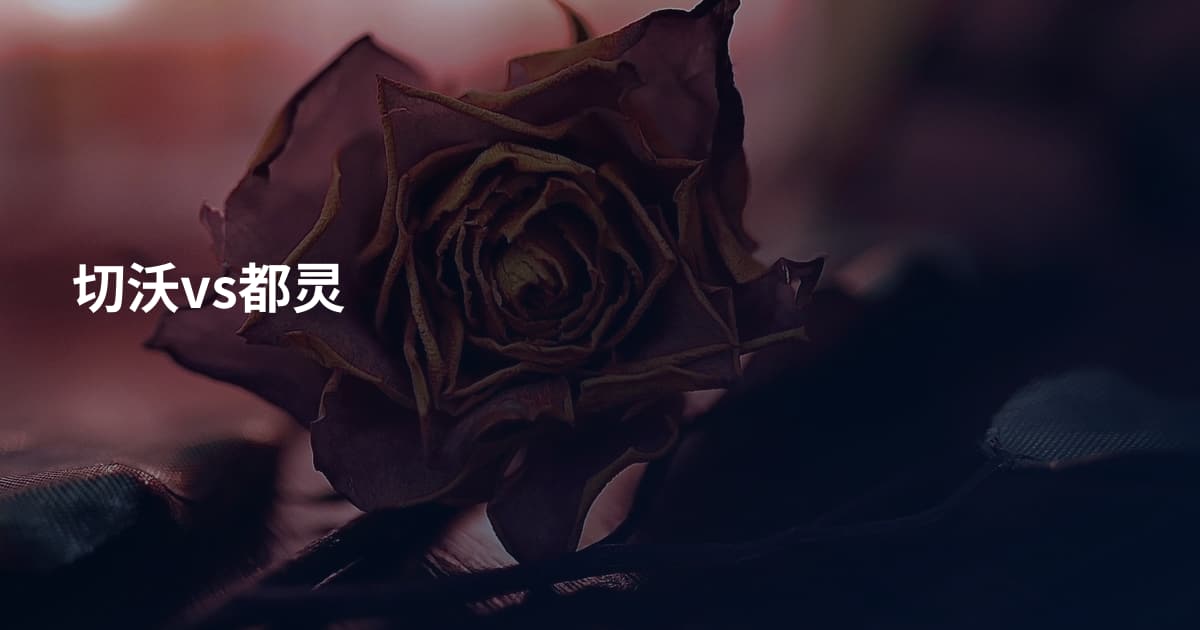 切沃vs都灵