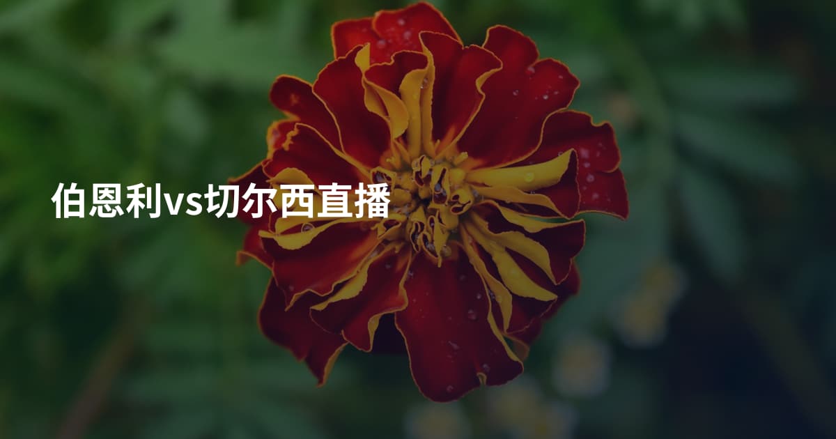 伯恩利vs切尔西直播