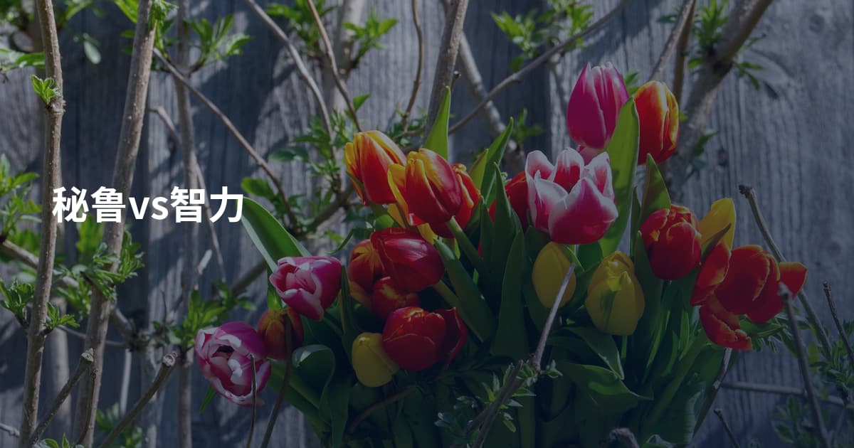 秘鲁vs智力