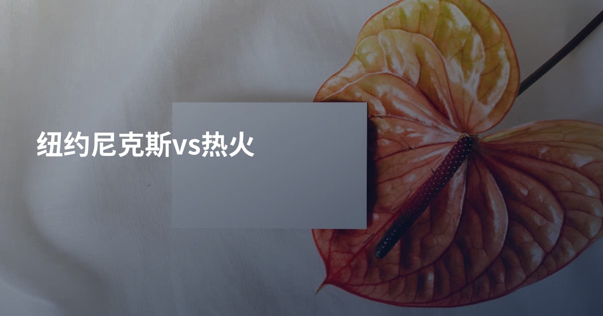 纽约尼克斯vs热火