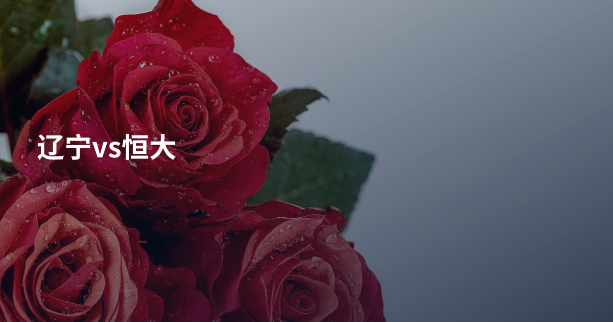 辽宁vs恒大