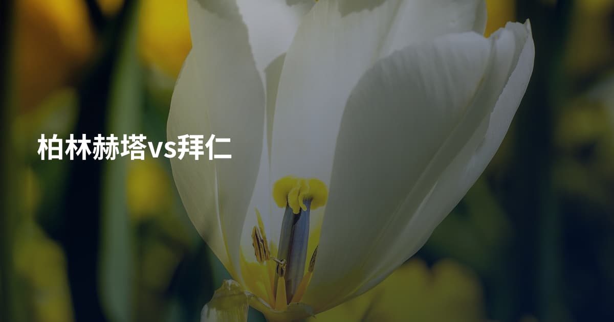 柏林赫塔vs拜仁