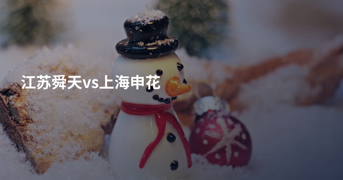 江苏舜天vs上海申花