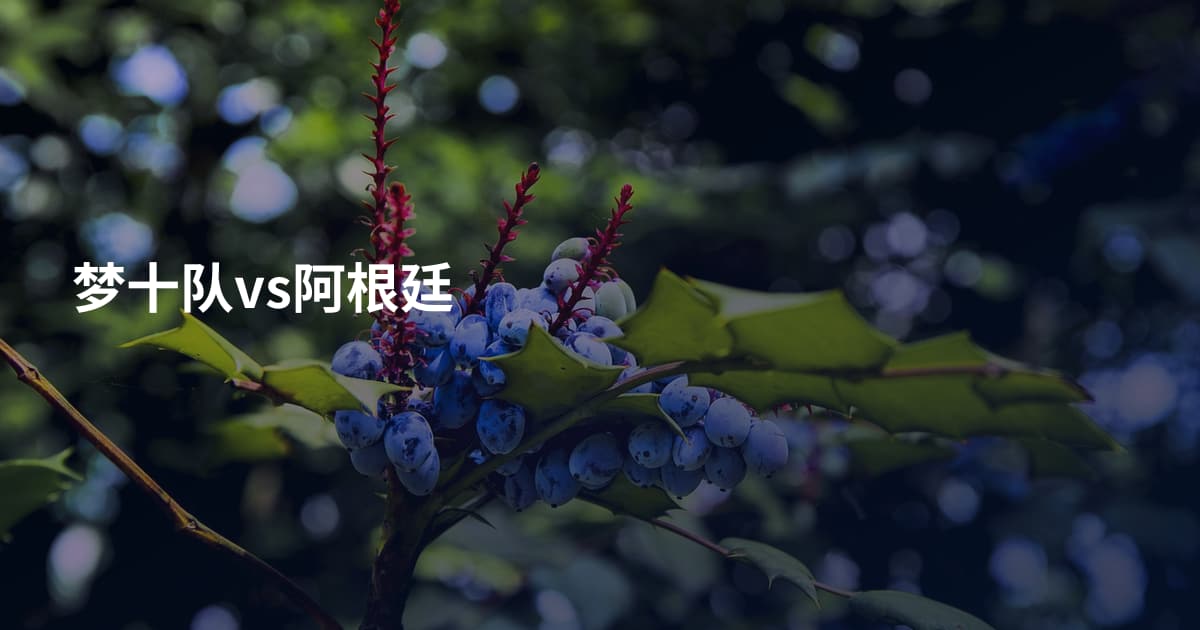 梦十队vs阿根廷