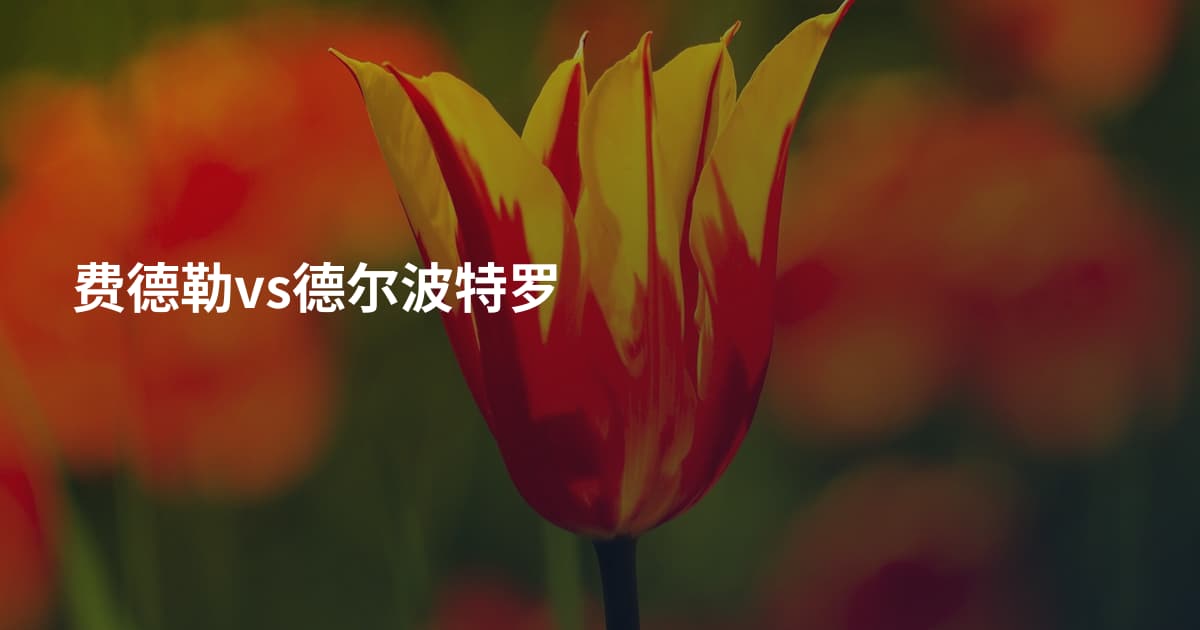 费德勒vs德尔波特罗