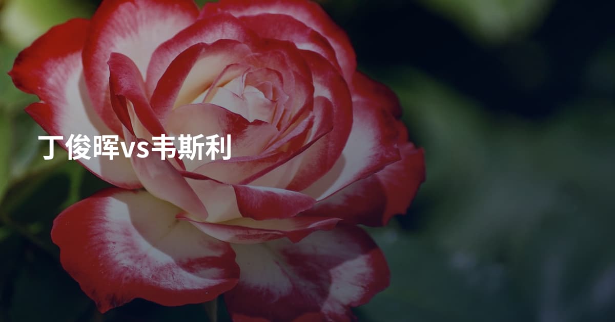 丁俊晖vs韦斯利