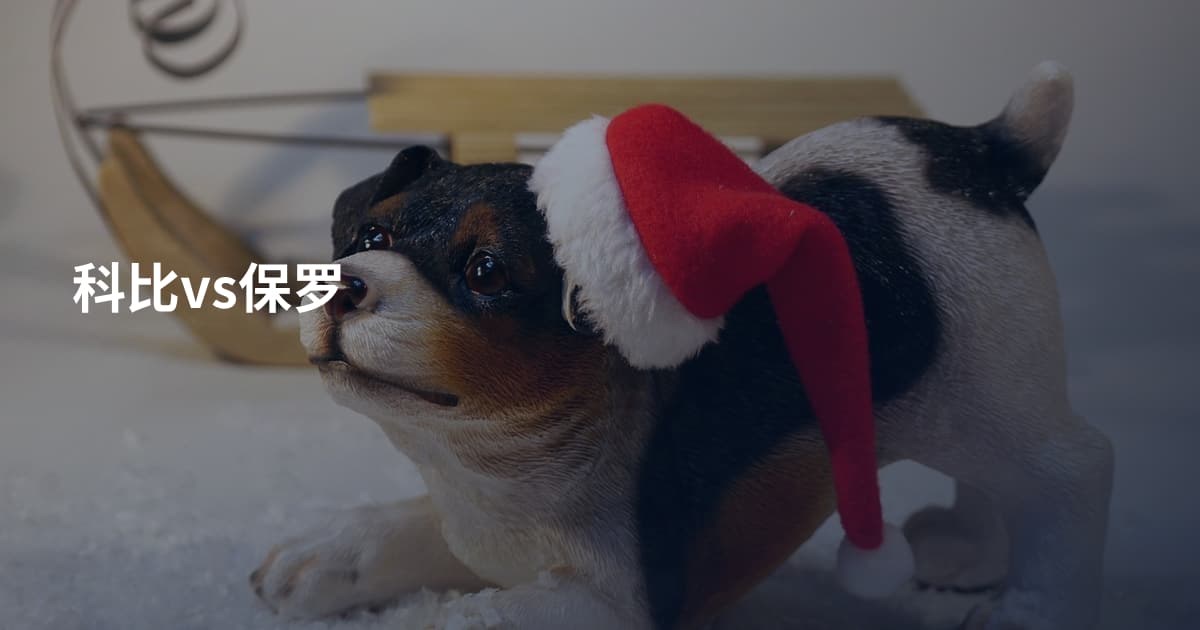 科比vs保罗