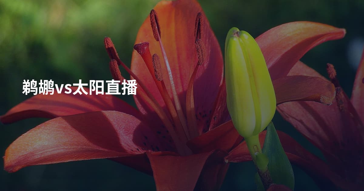 鹈鹕vs太阳直播