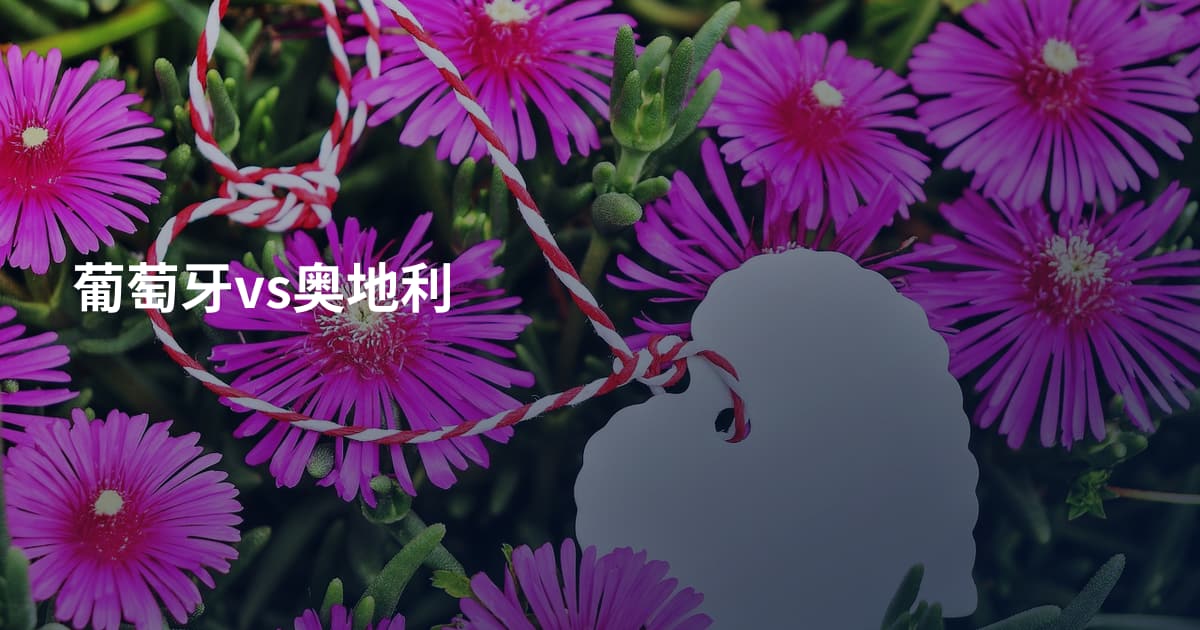 葡萄牙vs奥地利