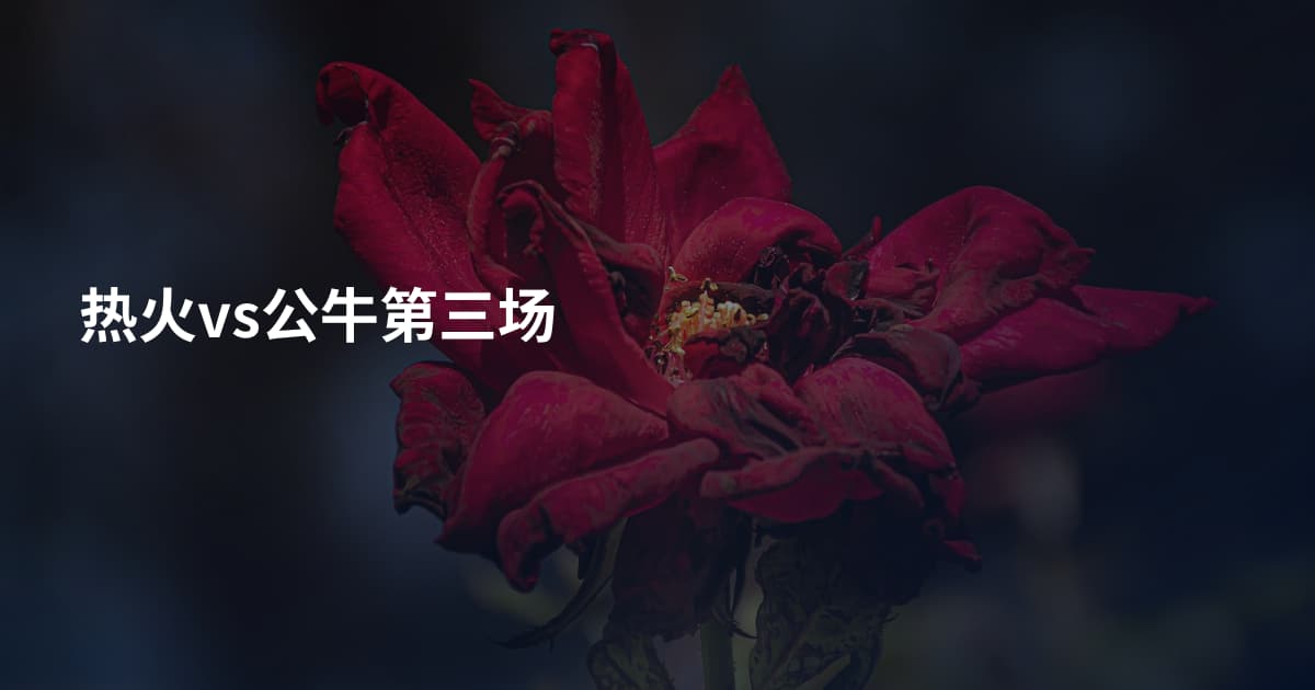 热火vs公牛第三场