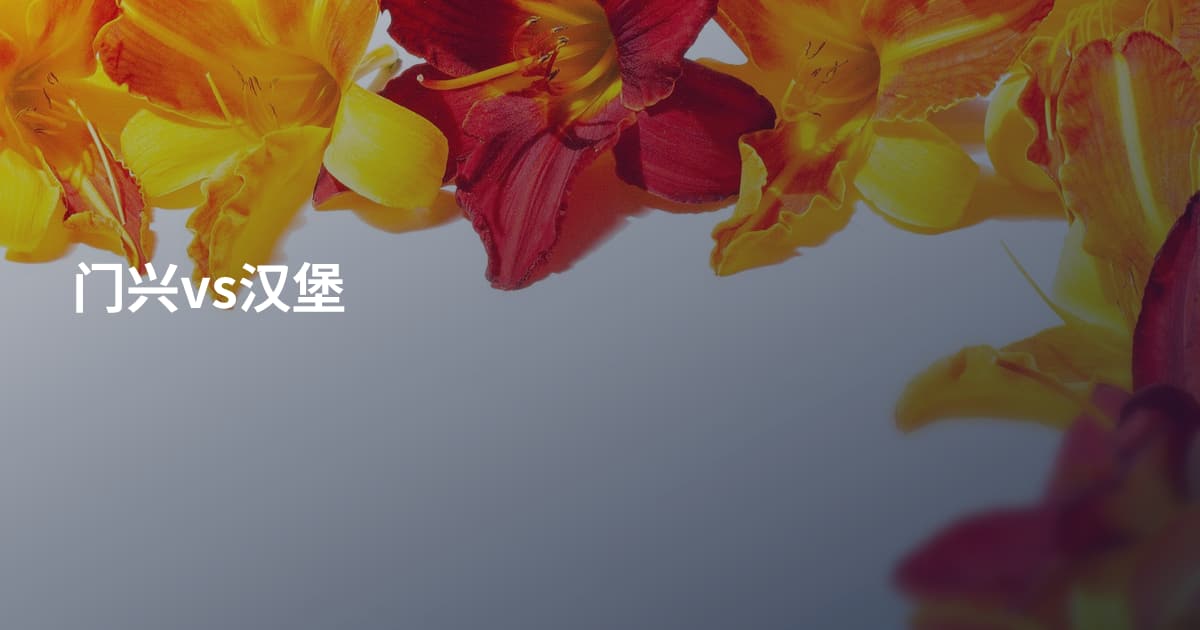 门兴vs汉堡