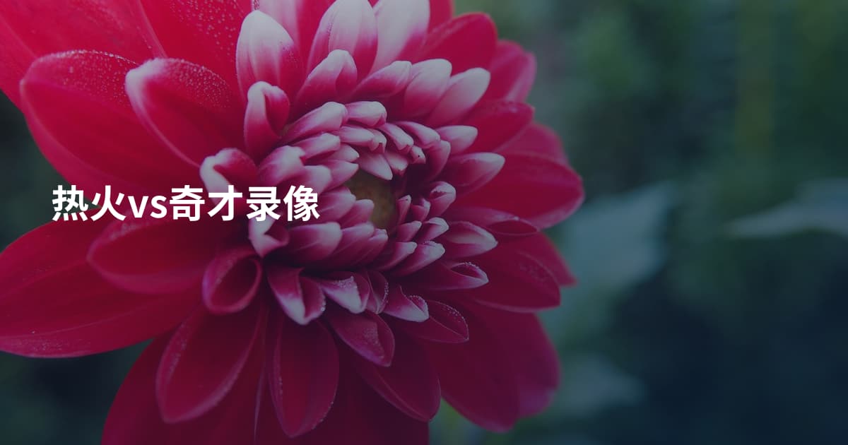 热火vs奇才录像