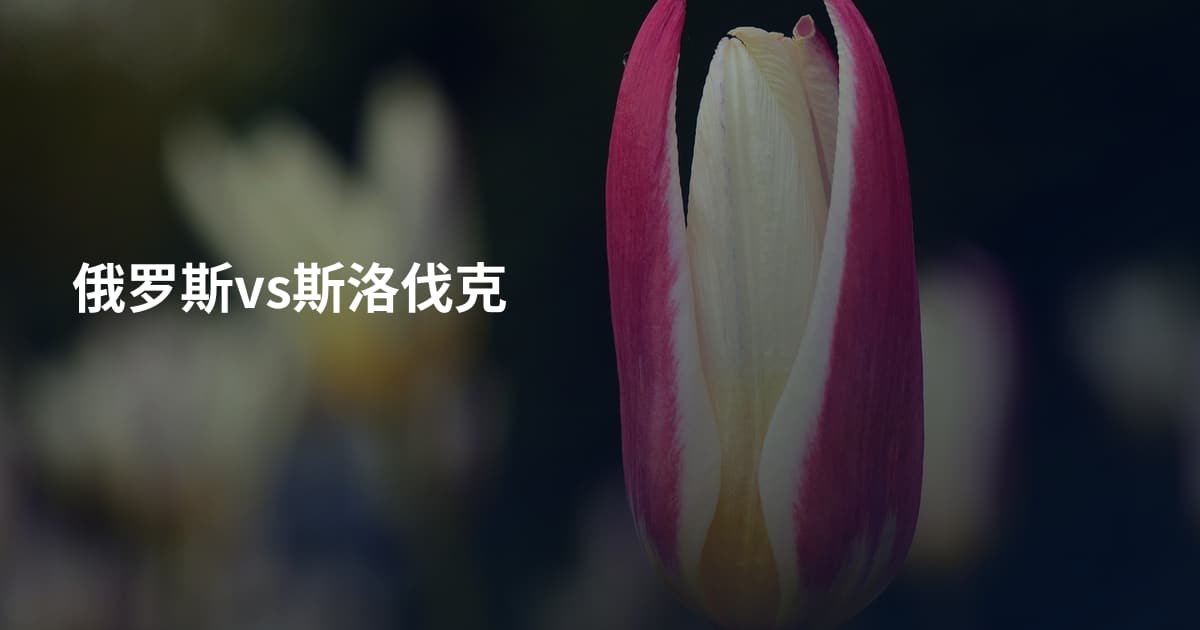 俄罗斯vs斯洛伐克