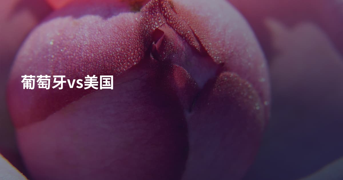 葡萄牙vs美国